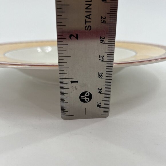 Villeroy & Boch Germany Switch Plantation One (1) SOUP BOWL 9 3/8" Safran - Picture 3 of 5